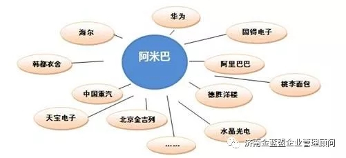 阿米巴 一種經(jīng)營方式與企業(yè)管理的落地實(shí)踐