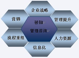 沈陽驕陽企業(yè)管理咨詢 專業(yè)認證咨詢助力企業(yè)卓越發(fā)展